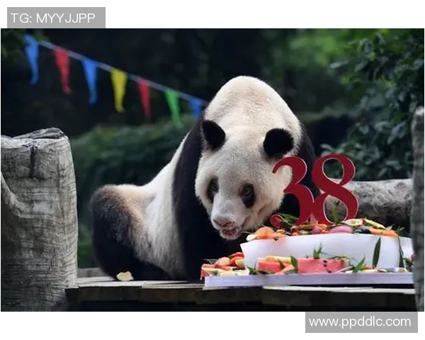 熊猫体育助力全球健康生活方式倡导与实践 熊猫体育助力全球健康生活方式倡导与实践