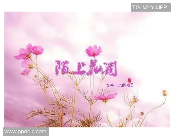 力量与温情交织的美丽篇章展现人性光辉与坚韧不拔的精神追求 力量与温情交织的美丽篇章展现人性光辉与坚韧不拔的精神追求