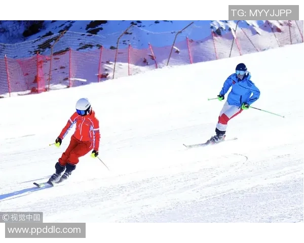 熊猫体育热门资讯全面解析最新赛事动态与明星运动员表现 熊猫体育热门资讯全面解析最新赛事动态与明星运动员表现