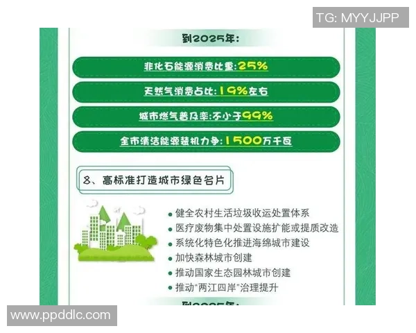 巅峰国际可持续发展报告揭示全球绿色转型新机遇与挑战