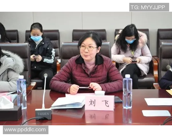 红桃国际模型评估的创新方法与实践应用探讨