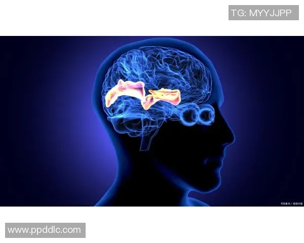 探索非凡娱乐神经渲染技术的未来潜力与应用前景